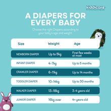 Load image into Gallery viewer, Kiddicare Ramadan Megha Bundle  - 1 Jumbo Diapers Pack + 1 carton Wipes
